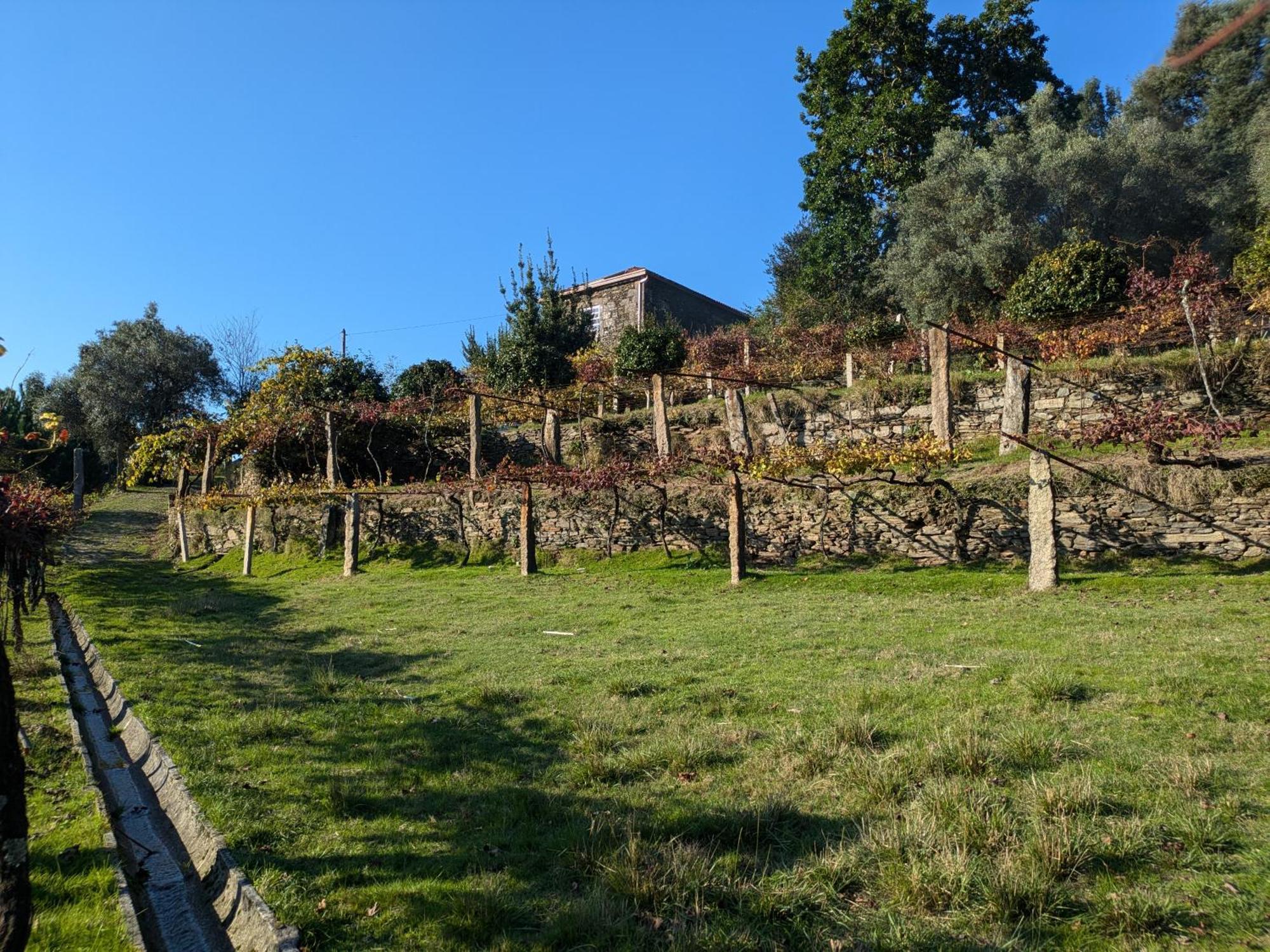 Casa Do Valo Villa Amonde Eksteriør billede