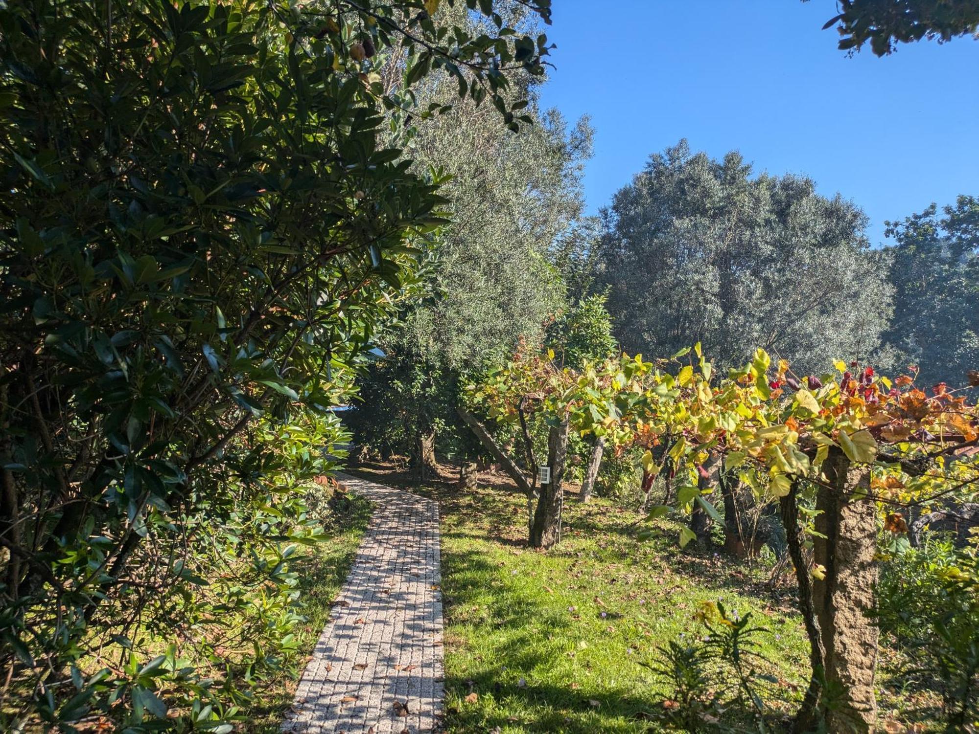 Casa Do Valo Villa Amonde Eksteriør billede